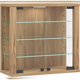 VCM Morgenthaler Vitrosa S