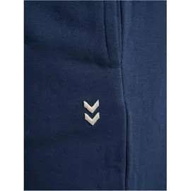 hummel Pulse Hosen Regular Blau XL