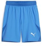 Puma Puma, teamFINAL Shorts (XL), Blau, XL