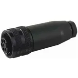 Murrelektronik 7/8 Buchse gerade 7000-78201-0000000