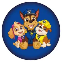 Paw Patrol Kissen 37 x 37 cm Blau