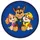 Paw Patrol Kissen 37 x 37 cm Blau
