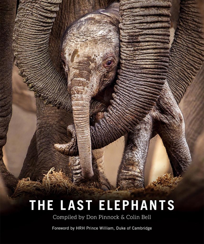 The Last Elephants: eBook von Colin Bell/ Don Pinnock