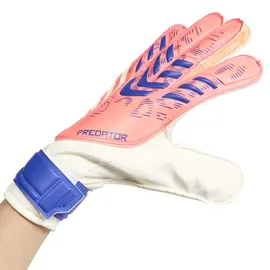 adidas Predator Training Signal Coral/White/Lucid Blue 9
