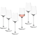 LEONARDO PUCCINI 120 ml 6er Set