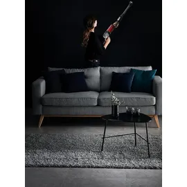 Rowenta X-Force Flex 9.60 Animal rot/schwarz