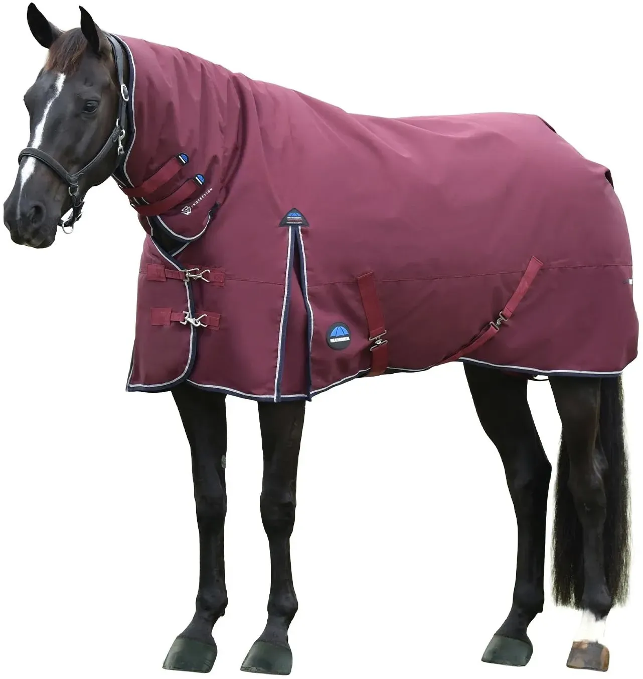 Weatherbeeta Comfitec Essential Weidedecke mit festem Halsteil, 220g