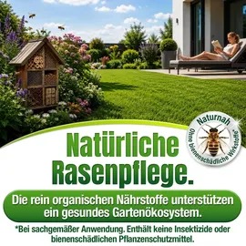 düngemeister Rasendünger BIO 10,1 kg