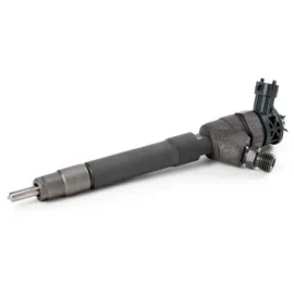Bosch Einspritzdüse 0 445 110 569