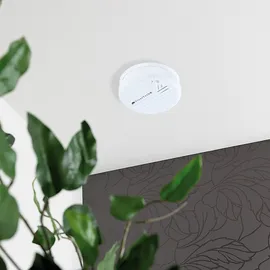 VisorTech RWM-100 V2 10 St.