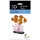 Fridolin 3D Papiermodell - Clownfisch