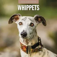 Brown trout-auslieferer flechsig Whippets - Whippet 2026 - 16-Monatskalender