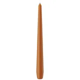 Wiedemann Kerzen Spitzkerze 25 x 250 mm 12 St. Cognac