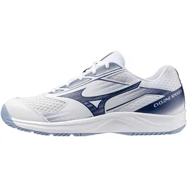 Mizuno Cyclone Speed 5 46 Blau, Weiss