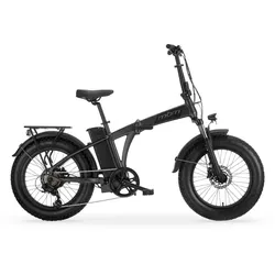 MBM Elektro-Falt-Fahrrad PHRIKE 20 Zoll, schwarz