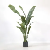 Plant in a Box - Künstliche Strelitzie – Höhe 160cm