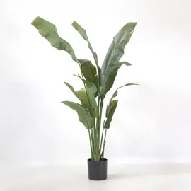 Plant in a Box - Künstliche Strelitzie – Höhe 160cm