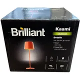 Brilliant Kaami (310 lm)