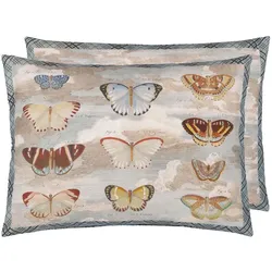 Butterfly Studies Parchment
