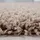 KADIMA DESIGN Hochflorteppich, Beige, 80x80 cm, – Böden, Teppiche, Hochflorteppiche & Shaggys
