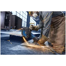 Bosch EXWS30-230PB für 230 mm