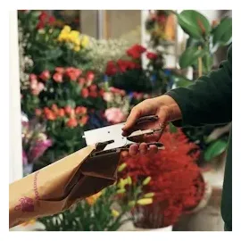 Rapid Heftzange K1 silber,