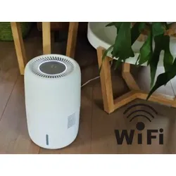 Luftbefeuchter Oasis 303 Wifi