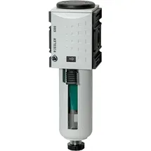 Riegler Mikrofilter »FUTURA «, PC-Behälter, Schutzkorb, BG 2, G 3/8, HA