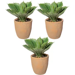 CREATIV green künstliche Pflanze Echeveria, ca 25cm, 3er Set