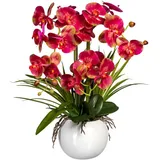 Creativ green Kunstorchidee Phalaenopsis Orchidee Phalaenopsis, Creativ green, Höhe 58 cm, im Keramiktopf beige