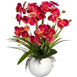 Creativ green Kunstorchidee Phalaenopsis Orchidee Phalaenopsis, Creativ green, Höhe 58 cm, im Keramiktopf beige