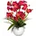 Creativ green Kunstorchidee Phalaenopsis Orchidee Phalaenopsis, Creativ green, Höhe 58 cm, im Keramiktopf beige