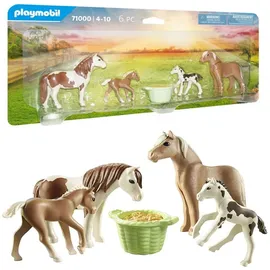 Playmobil Country 2 Island Ponys mit Fohlen 71000