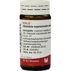 Glandula Sup Dex Cum Cupro 20 G