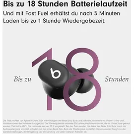 Beats Solo Buds mattschwarz