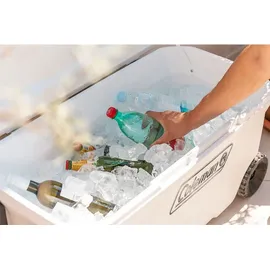 Coleman Xtreme Marine 90 l