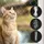LIONTO Katzenschutznetz 3x8 m Transparent/Weiß