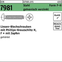 OEM Blechschraube DIN 7981 F 2,9 x 6,5 100 Stück