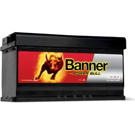 Banner Power Bull 95Ah 12V