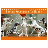 Calvendo Lustige Sportarten für Hunde (Tischkalender 2026 DIN A5