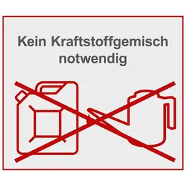 SCHEPPACH Benzin-Freischneider Rasenmaher 4-Takt-Motor 31cc Scheppach PBC310-4S