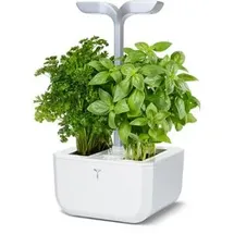 Veritable Anzuchtkasten Exky Smart White, 20x18,2x45,6cm, Anzuchtschale, mit Pflanzenlampe, 2 Zellen