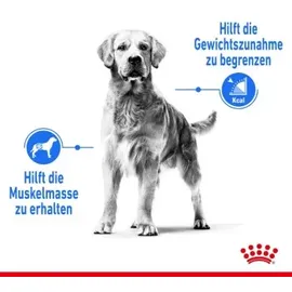 Royal Canin Medium Light Weight Care 3 kg