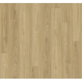 Parador Basic 400 Laminat 8 mm Wasserfest Eiche Karamell Seidenmatte Struktur Landhausdiele