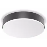Steinel RS PRO A30 1 LED-Lampe anthrazit