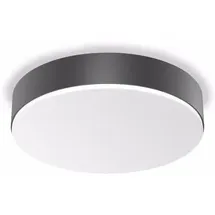 Steinel RS PRO A30 1 LED-Lampe anthrazit