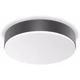 Steinel RS PRO A30 1 LED-Lampe anthrazit