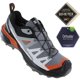 Salomon X Ultra 360 GTX Herren Quiet Shade/Black/Spice Route 47 1/3