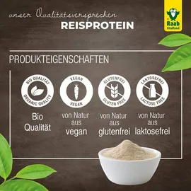 Raab Vitalfood Reisprotein 80% Pulver 400 g