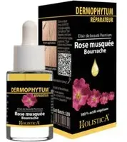 Holistica Dermophytum Huile Réparatrice 15 ml